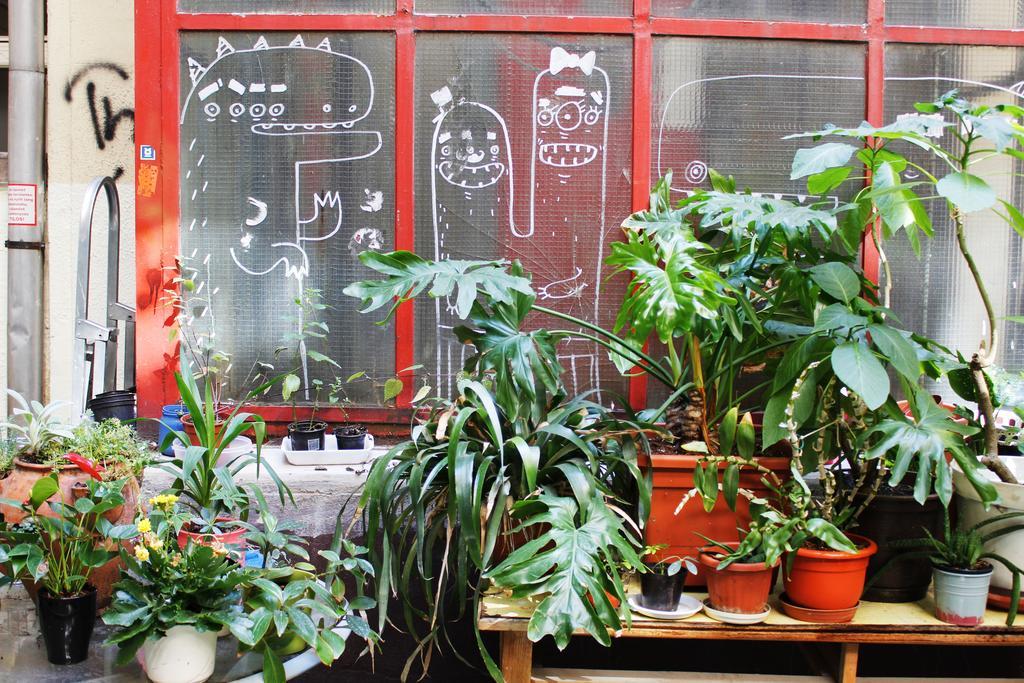 Dbc Hostel Budapest Luaran gambar