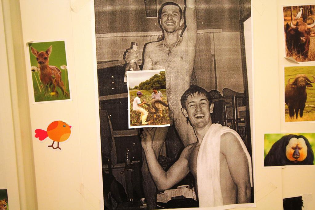 Dbc Hostel Budapest Bilik gambar